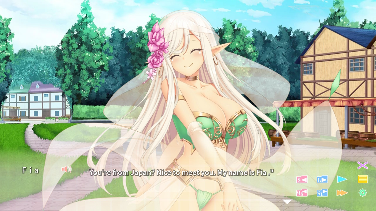 異世界娘と婚活中 ～ Isekai Bride Hunting ～