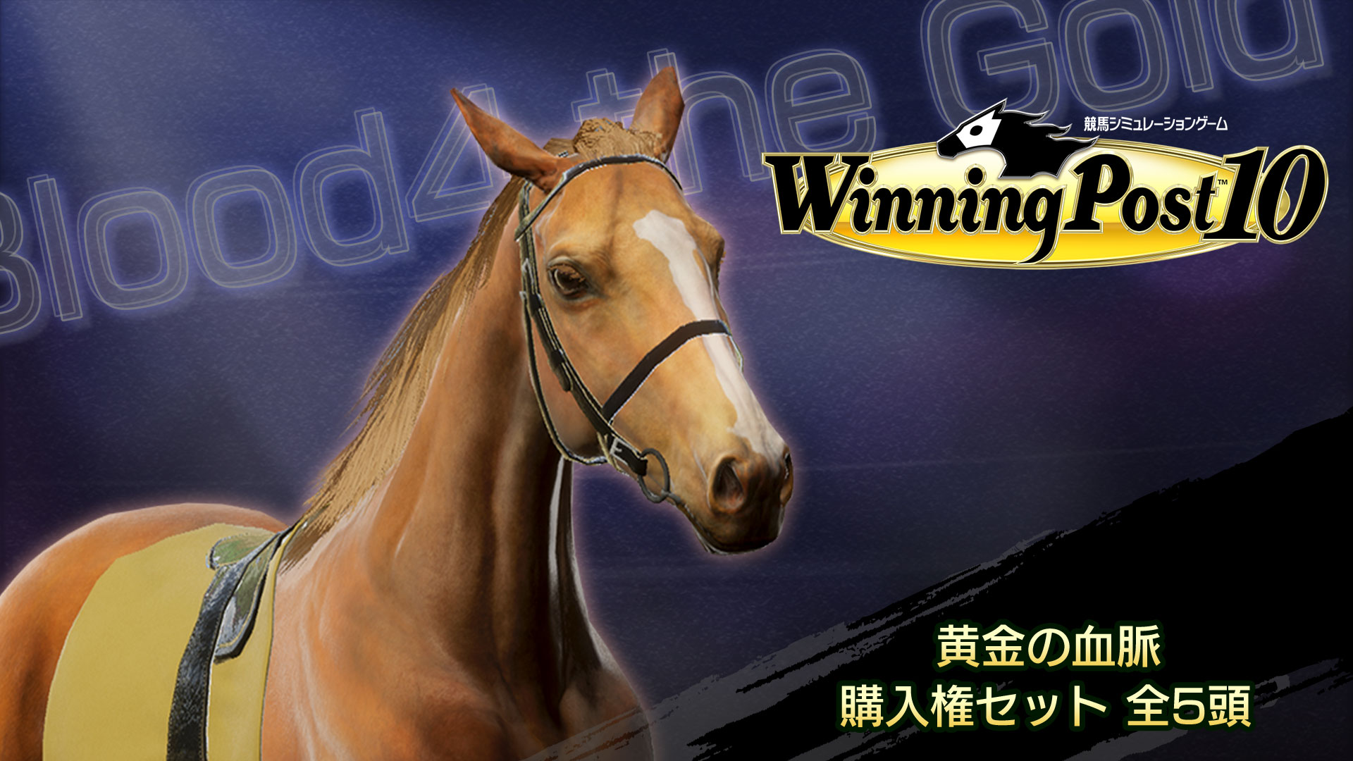 WP10 黄金の血脈 購入権セット 全５頭