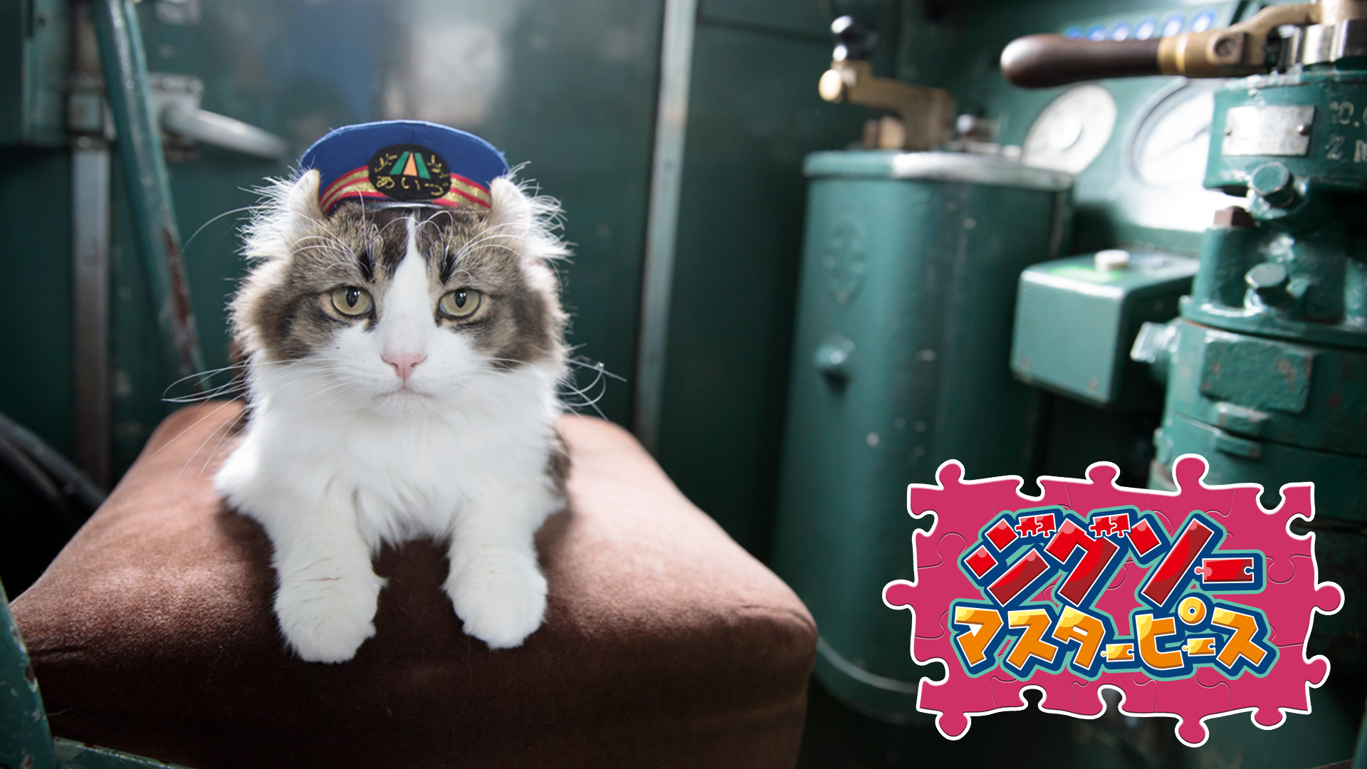 芦ノ牧温泉駅のねこ駅長 / 五十嵐健太