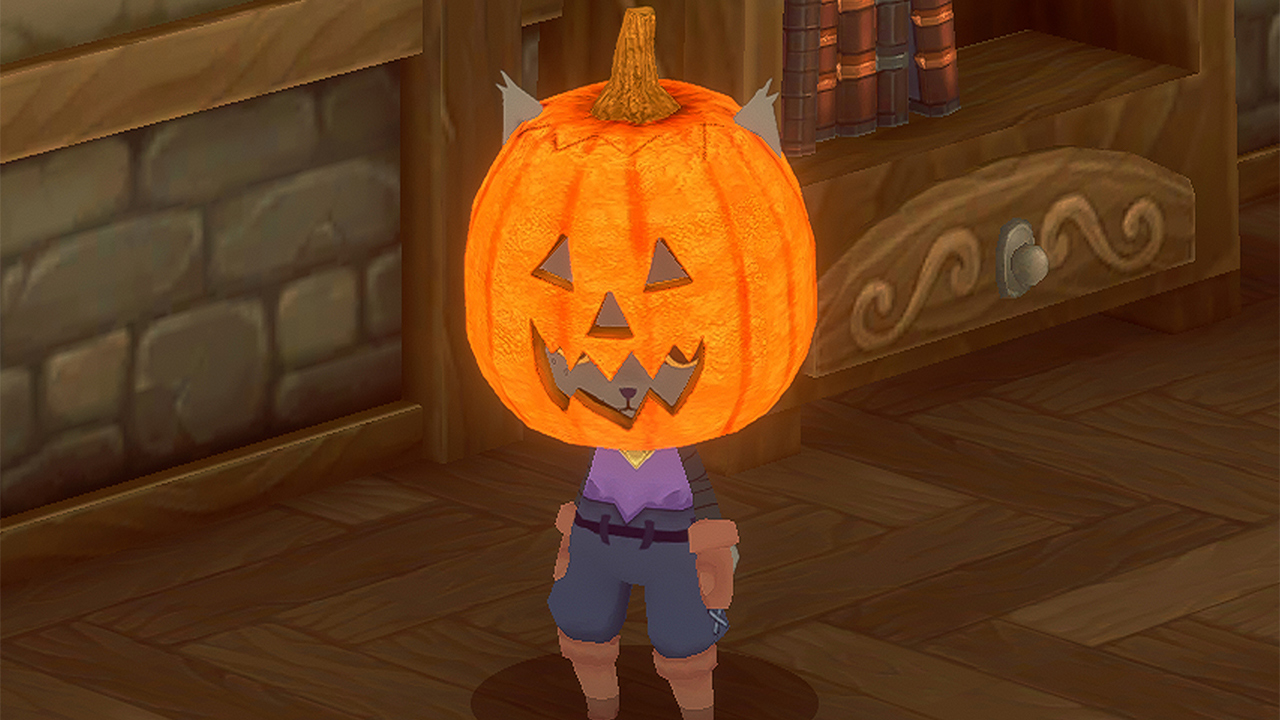 Pumpkin Hat