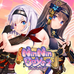 和女忍者的同居生活2-游戏公社