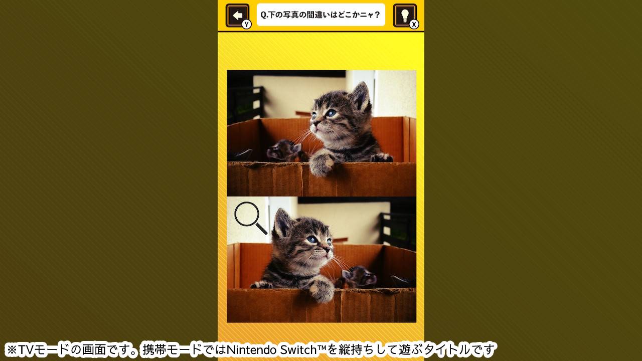 脳を鍛える! にゃんこ写真で間違い探しー猫ネコ癒しの脳トレ脳活教養学習パズルー