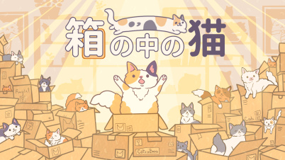 箱の中の猫 : Cats in Boxes