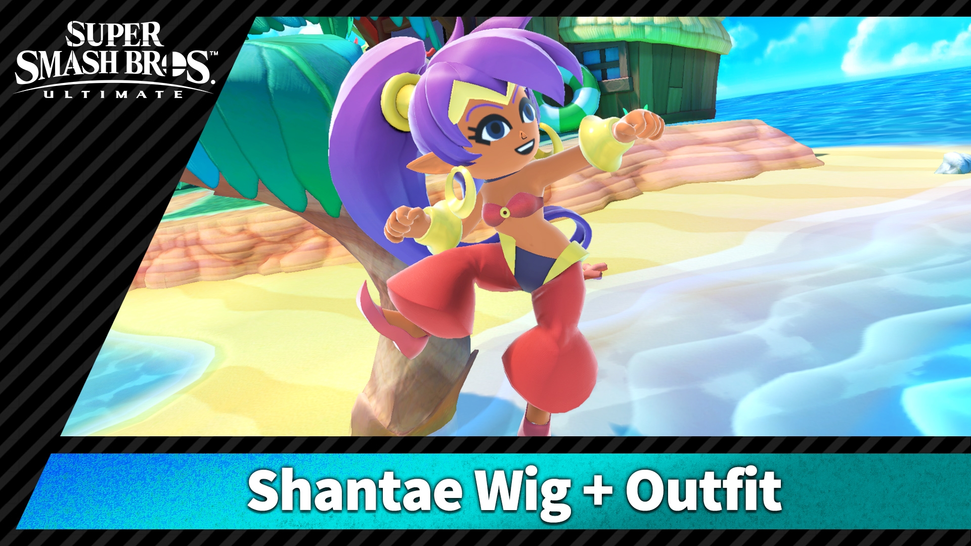 Shantae Wig + Outfit