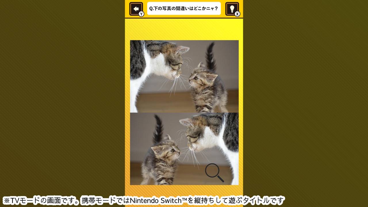 脳を鍛える! にゃんこ写真で間違い探しー猫ネコ癒しの脳トレ脳活教養学習パズルー