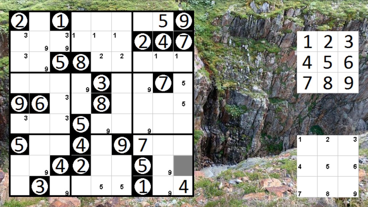 Logic Puzzle Collection: Sudoku - Permudoku - Nonodoku