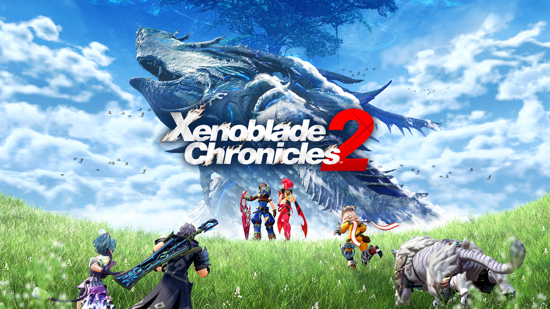  Xenoblade Chronicles 2 (Nintendo Switch) : Video Games