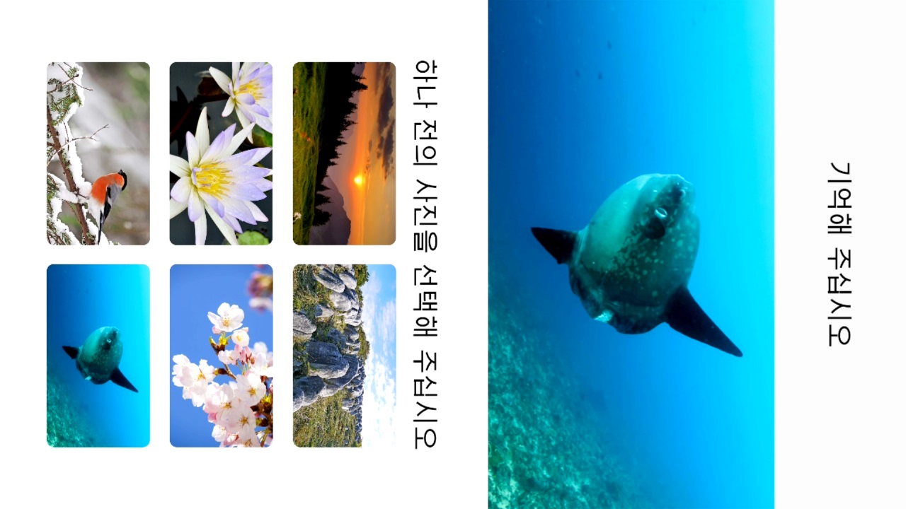 매일매일 Nintendo Switch 두뇌 트레이닝 screenshot