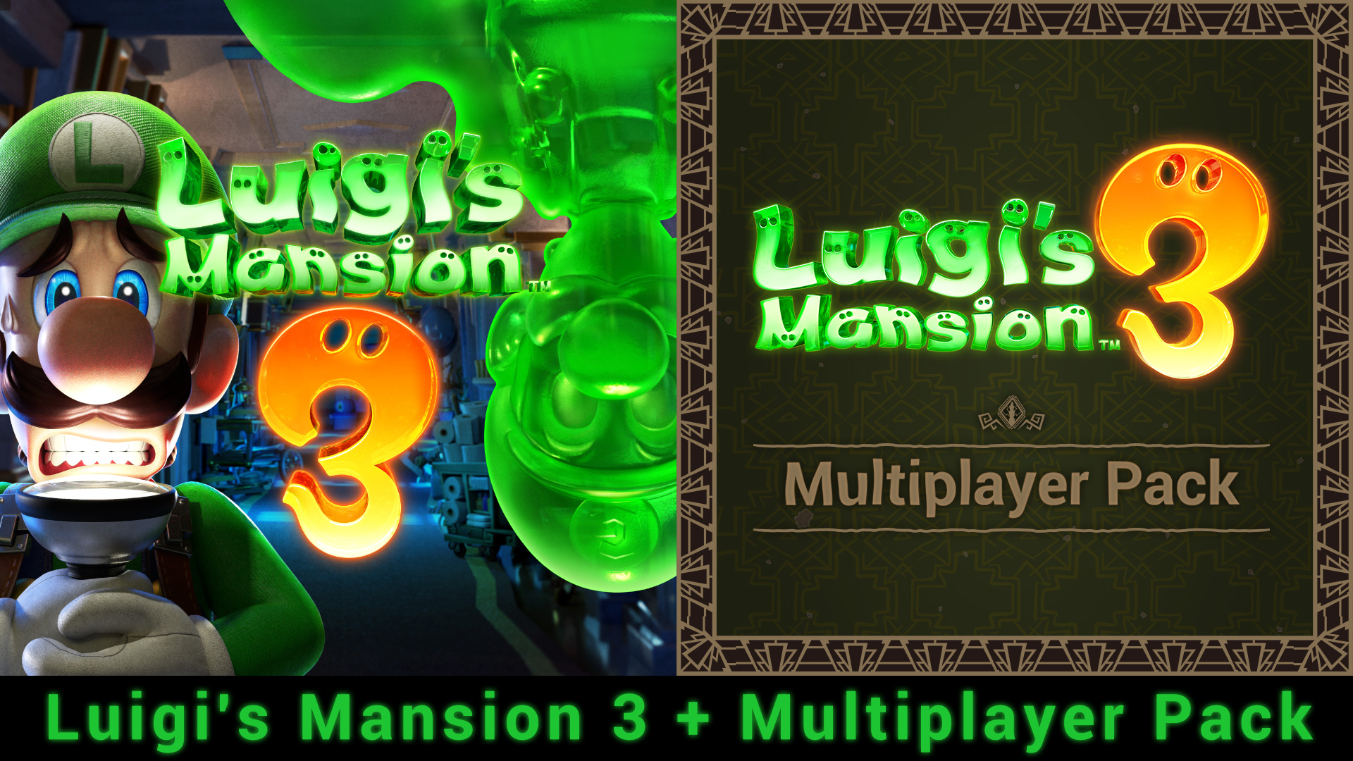 Luigi's Mansion 3 + Multiplayer Pack