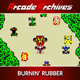 アーケードアーカイブス バーニンラバー-游戏公社