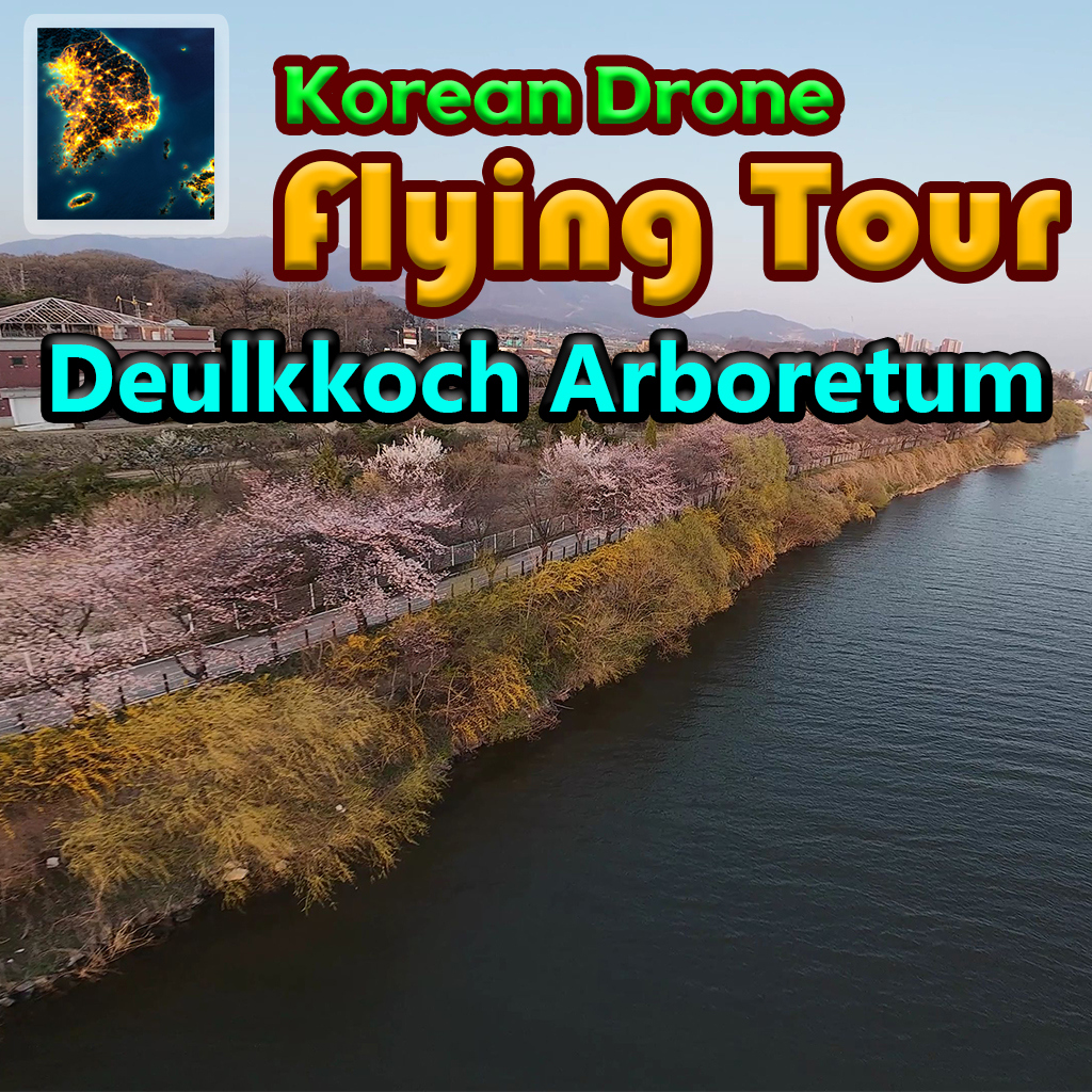 Korean Drone Flying Tour Deulkkoch Arboretum