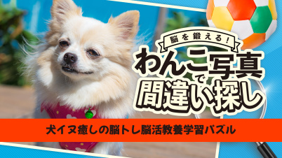 脳を鍛える!わんこ写真で間違い探しー犬イヌ癒しの脳トレ脳活教養学習パズルー