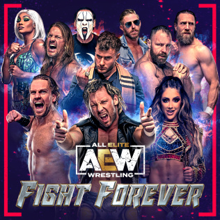 AEW:战斗永远-游戏公社