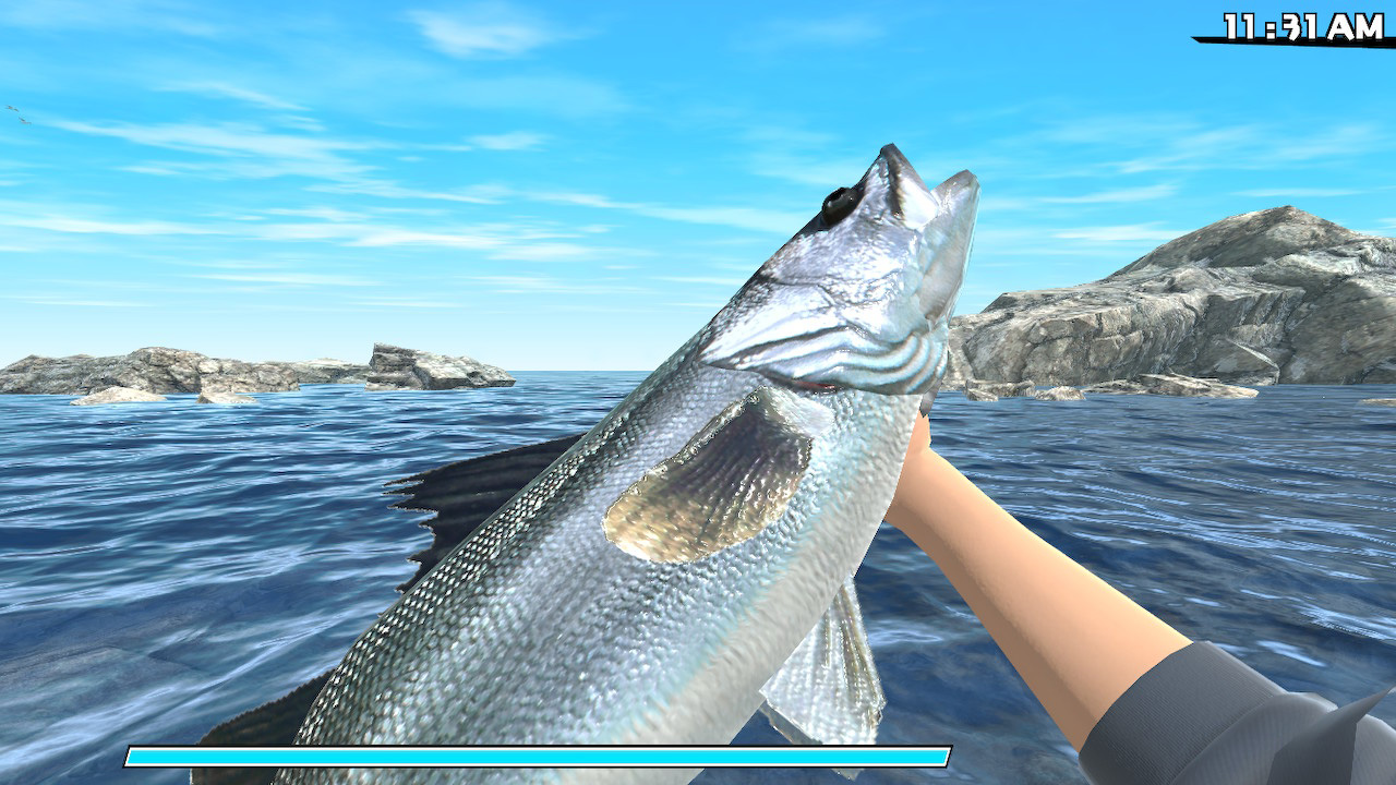 Reel Fishing: Road Trip Adventure/Nintendo Switch/eShop Download