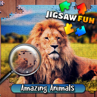 拼图乐:令人惊喜的动物-游戏公社