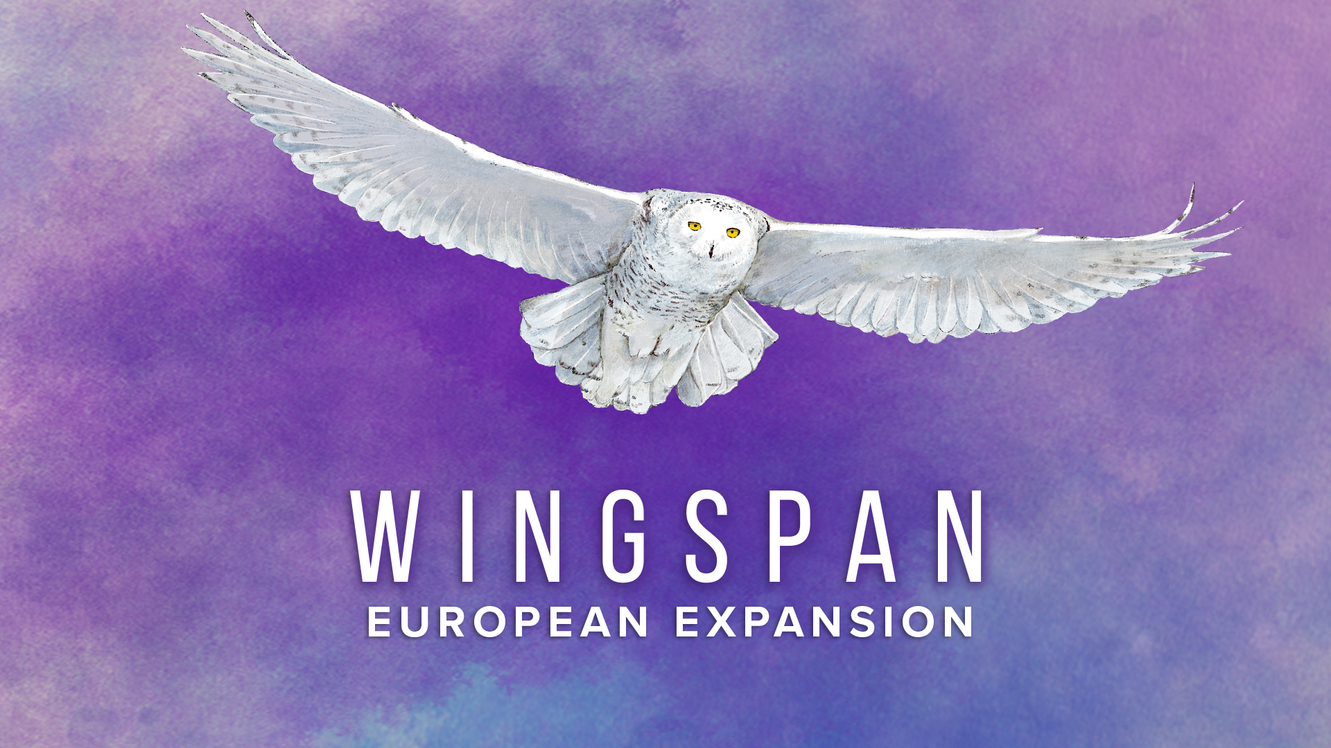 WINGSPAN: Oceania Expansion for Nintendo Switch - Nintendo
