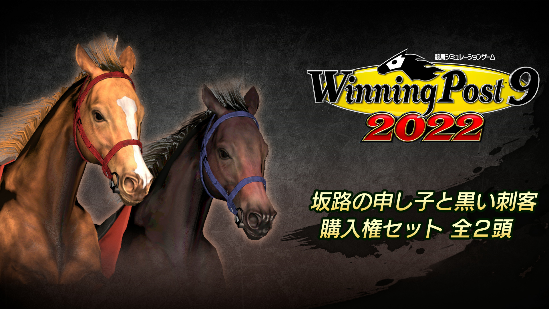 WP9 2022 坂路の申し子と黒い刺客 購入権セット 全２頭