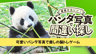 超絶かわいい!パンダ写真で間違い探しー可愛いパンダ写真で癒しの脳トレゲームー