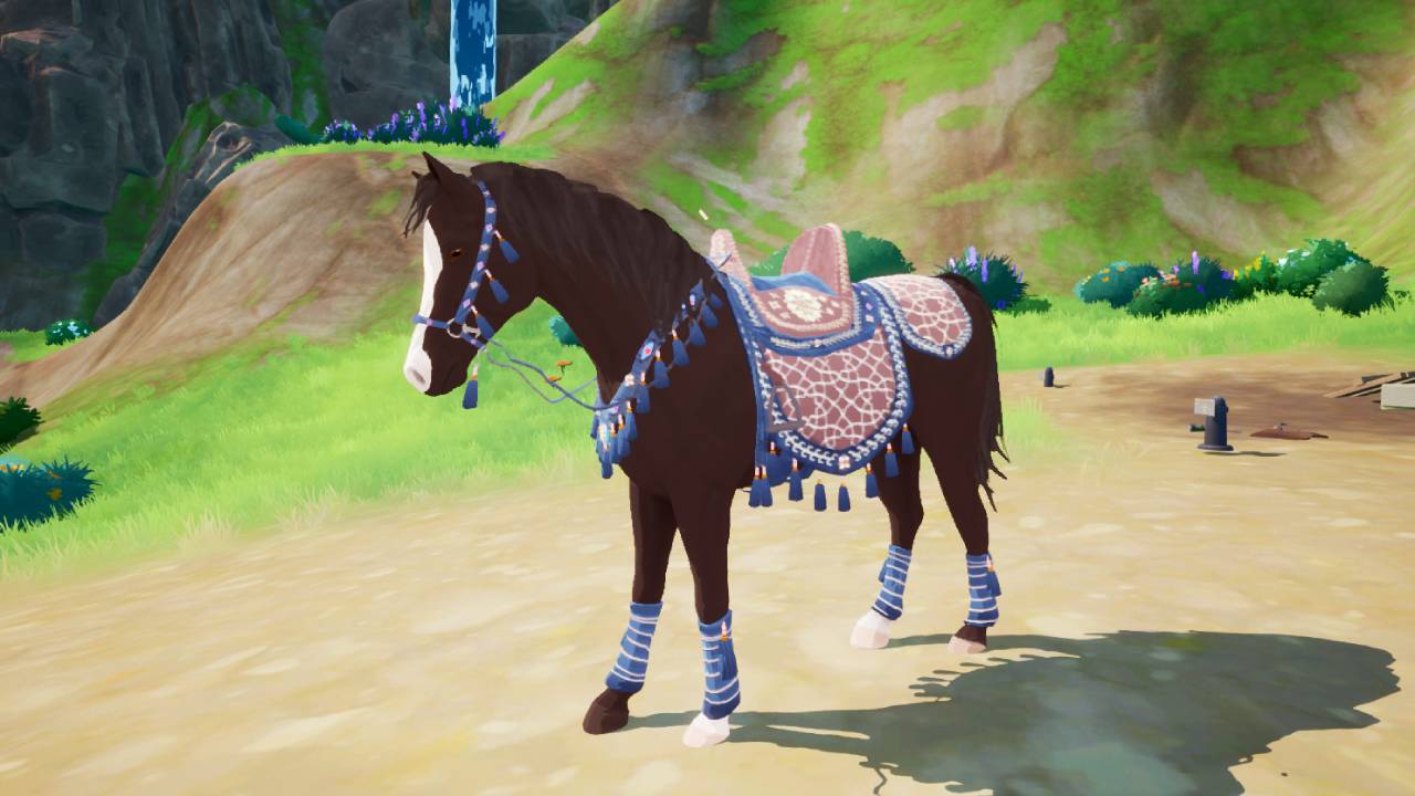 The Arabian Horse Pack