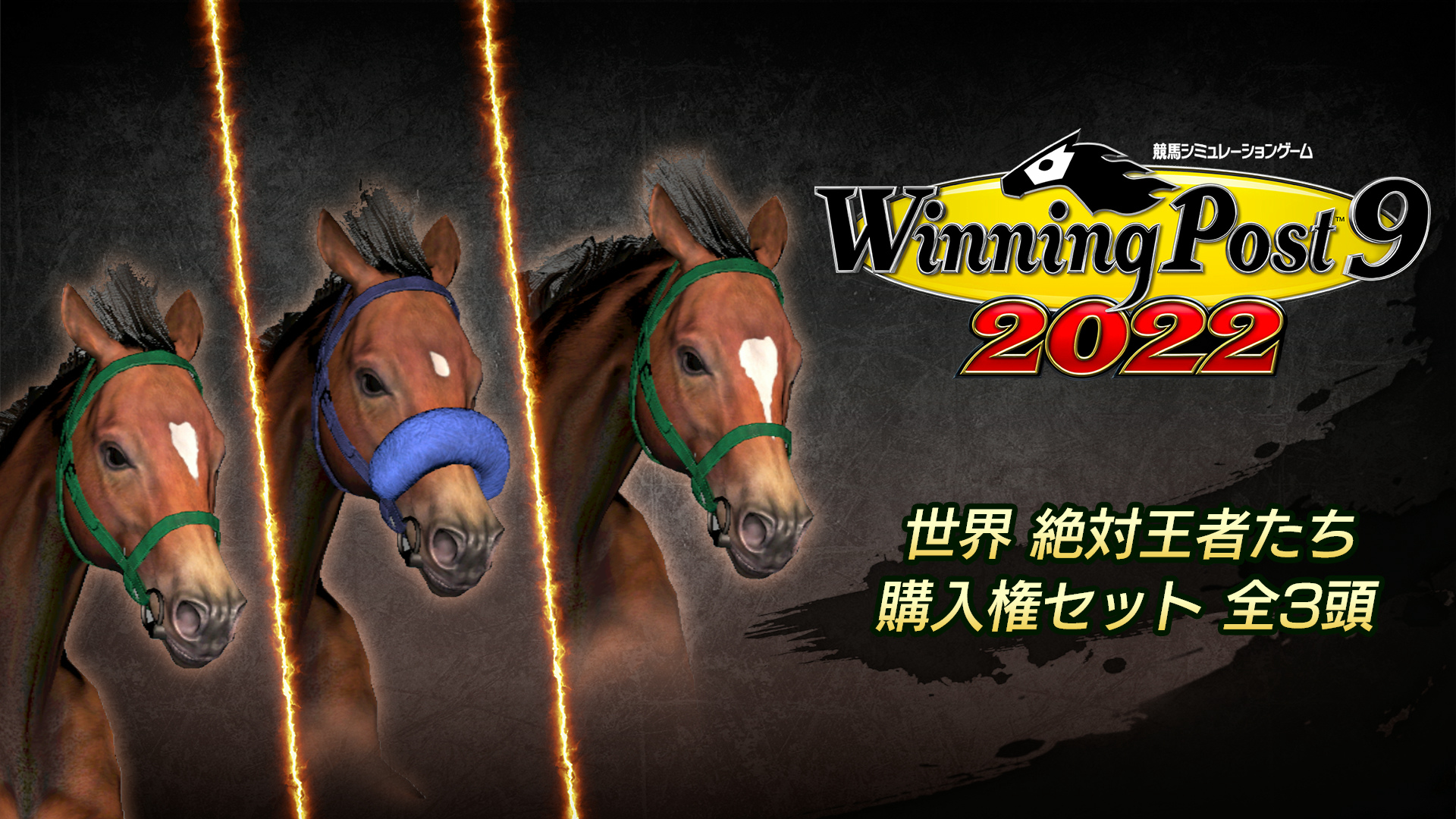 WP9 2022 世界 絶対王者たち 購入権セット 全３頭