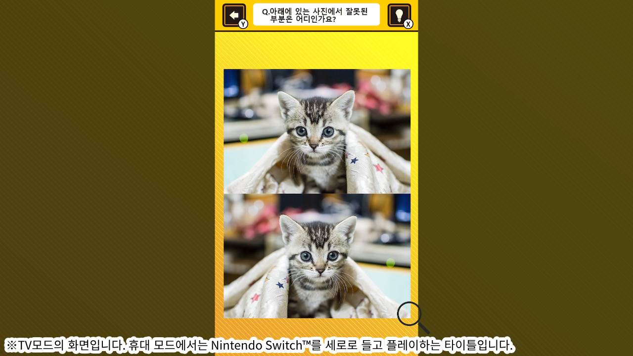 뇌를 단련하자! 냥이 사진에서 틀린부분 찾기