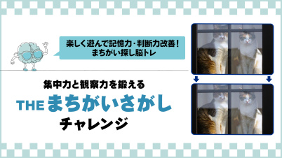 集中力と観察力を鍛える  THEまちがいさがしチャレンジ ー楽しく遊んで記憶力・判断力改善!まちがい探し脳トレー