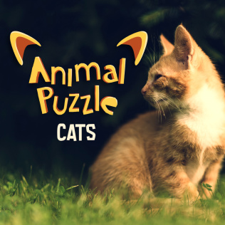 动物拼图猫-游戏公社