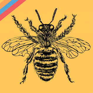 蜂蜜制造处-游戏公社