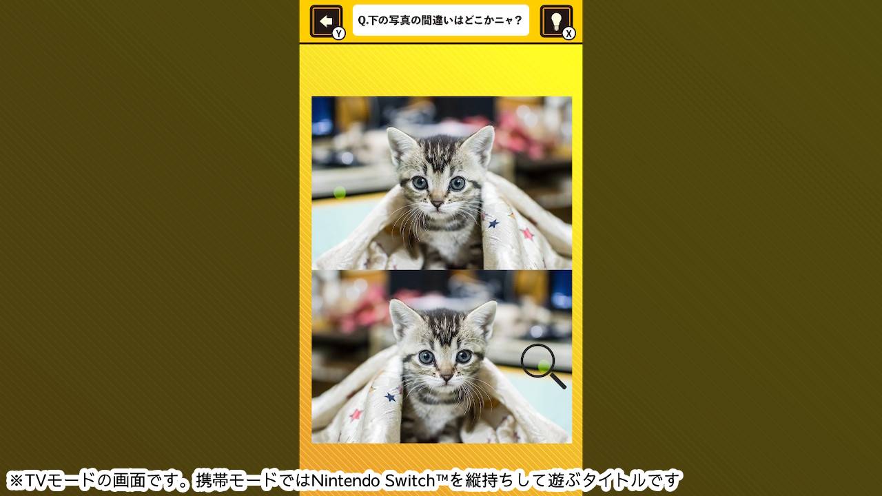 脳を鍛える! にゃんこ写真で間違い探しー猫ネコ癒しの脳トレ脳活教養学習パズルー