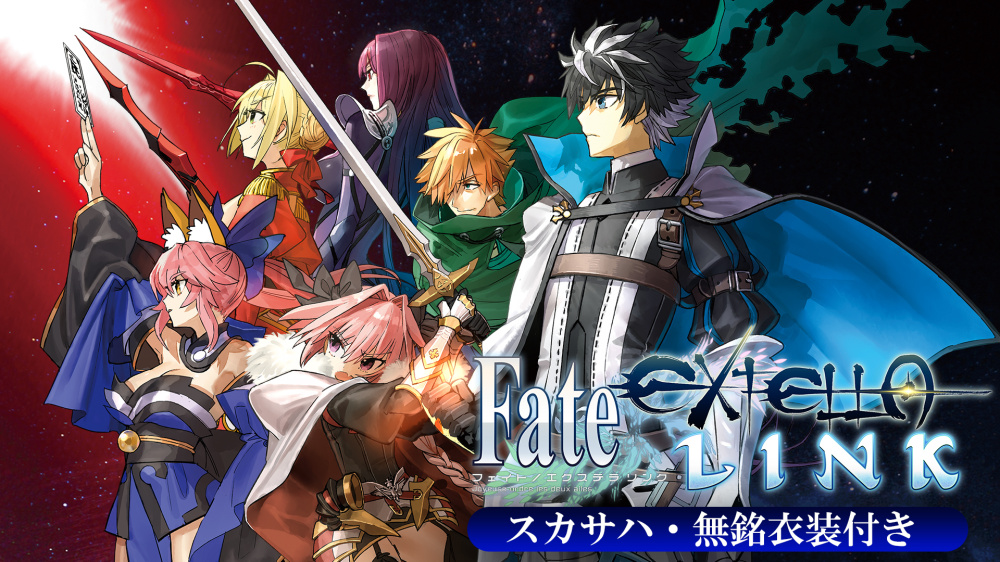 Fate Extella Link スカサハ 無銘衣装付き Nintendo Switchソフト 任天堂