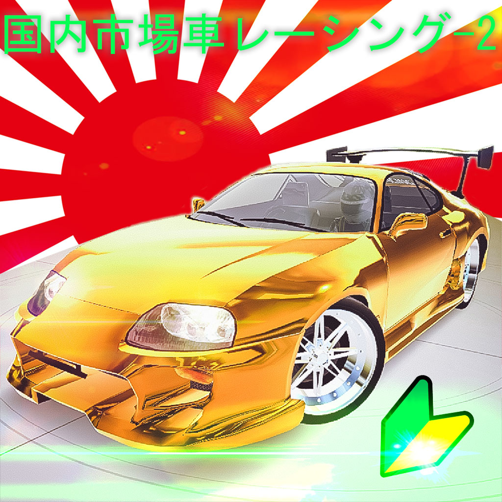 国内市場車レーシングー2