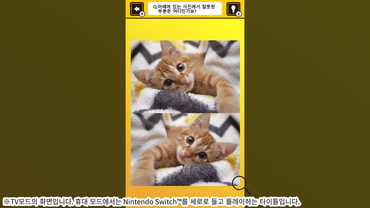 뇌를 단련하자! 냥이 사진에서 틀린부분 찾기