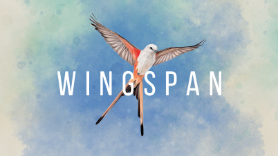 WINGSPAN (ウイングスパン)
