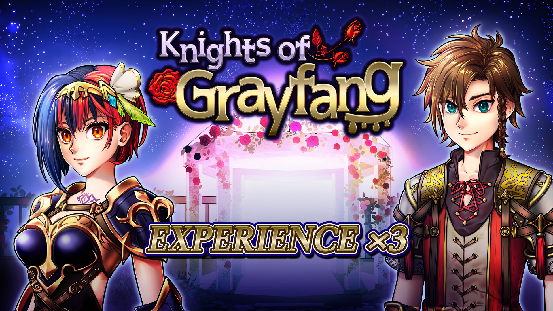 Experience x3 - Knights of Grayfang